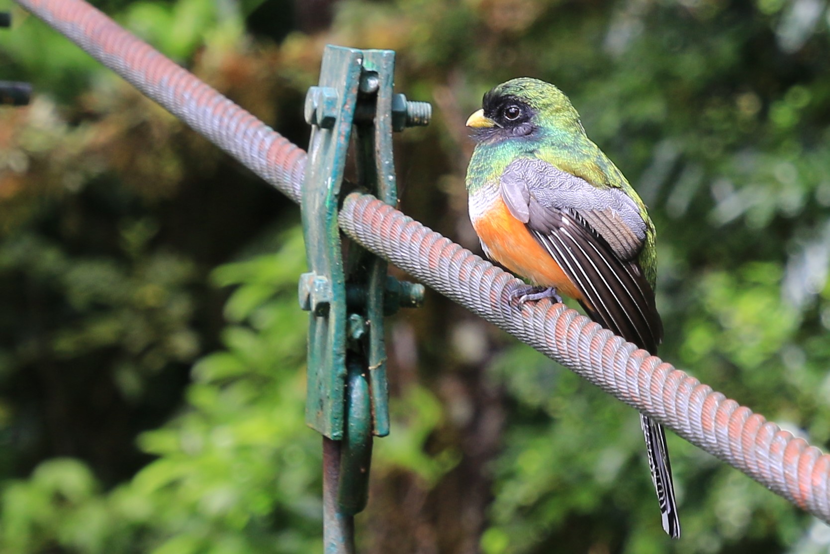 Costa Rica